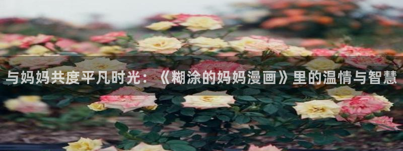 51漫画网站 免费