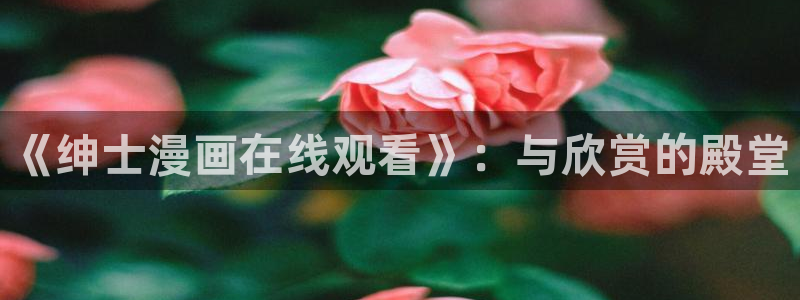 51漫画画免费网站破解版：《绅士漫画在线观看》：与欣赏的殿堂
