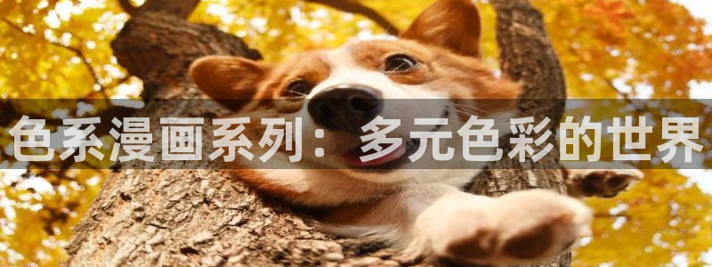 51漫画免费无删减漫：色系漫画系列：多元色彩的世界