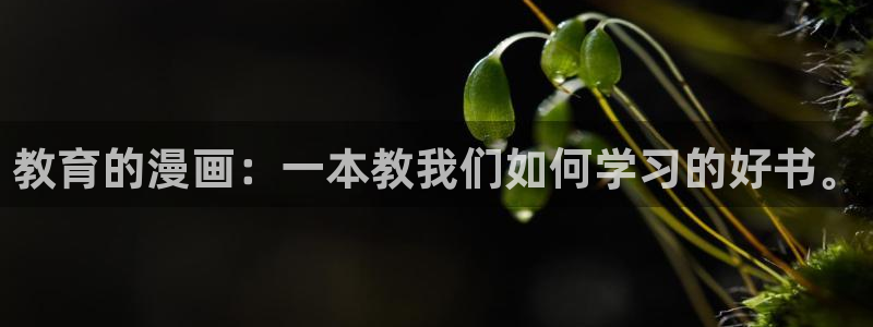 51漫画3d网站：教育的漫画：一本教我们如何学习的好书。