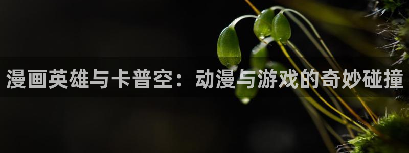 51漫画画剥夺：漫画英雄与卡普空：动漫与游戏的奇妙碰撞