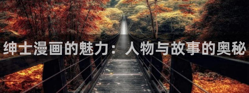 六漫画51漫画：绅士漫画的魅力：人物与故事的奥秘