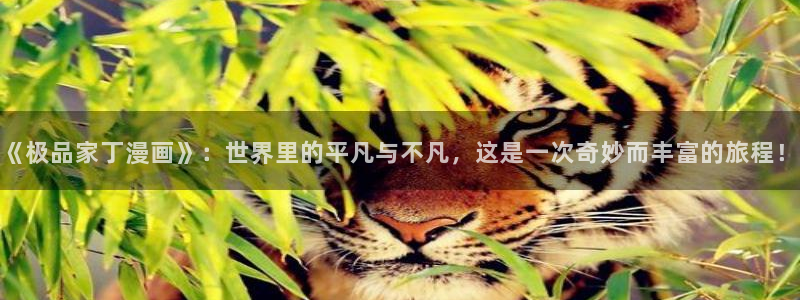 51漫画画免费网站入口