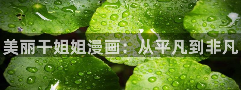 51漫画入口网站