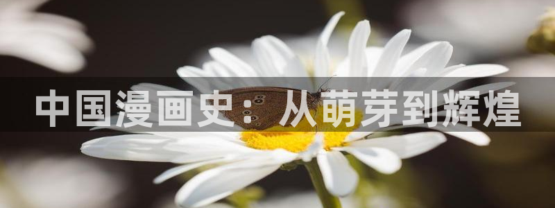 歪歪漫画的51漫画入口
