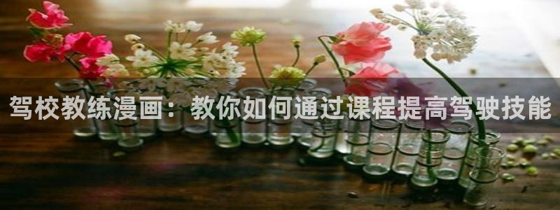 51漫画h羞羞漫画