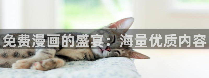 羞羞漫画免费看51漫画：免费漫画的盛宴：海量优质内容