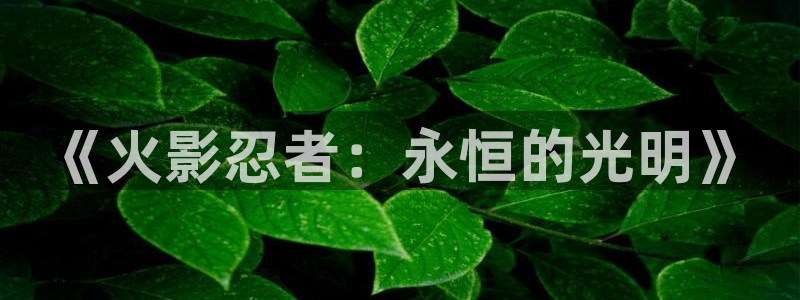 免费51漫画平台：《火影忍者：永恒的光明》