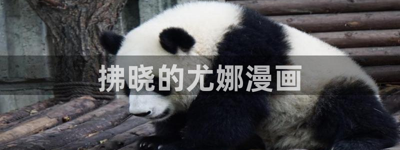 羞羞的铁拳51漫画在线观看：拂晓的尤娜漫画