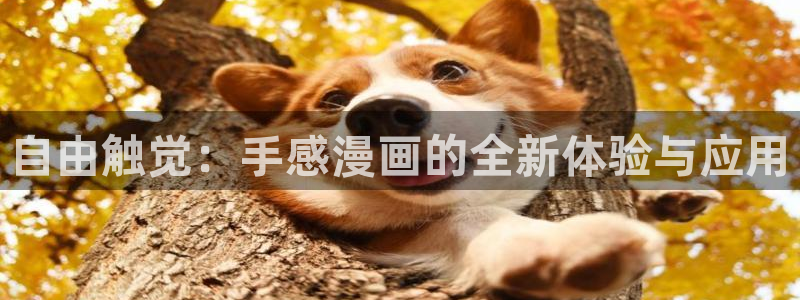 阿吧漫画51漫画免费阅读：自由触觉：手感漫画的全新体验与应用