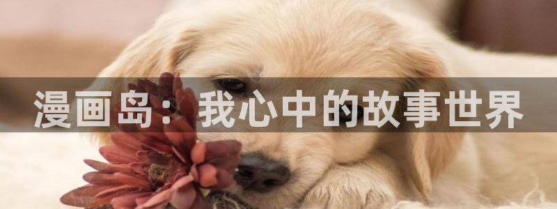 在哪里可以看免费的51漫画网站：漫画岛：我心中的故事世界